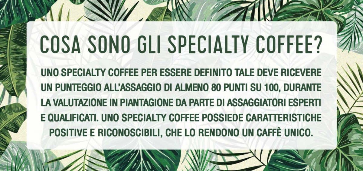 specialty coffee