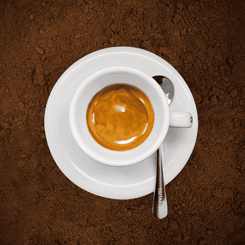 Corso intermedio di caffetteria – 28 ottobre 2026